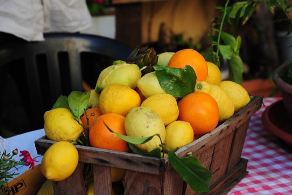 Agriturismo Del Pigato - Bio Vio Albenga Zimmer foto